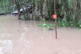 Hai nguoi thiet mang sau chau nhau o Tien Giang hinh anh