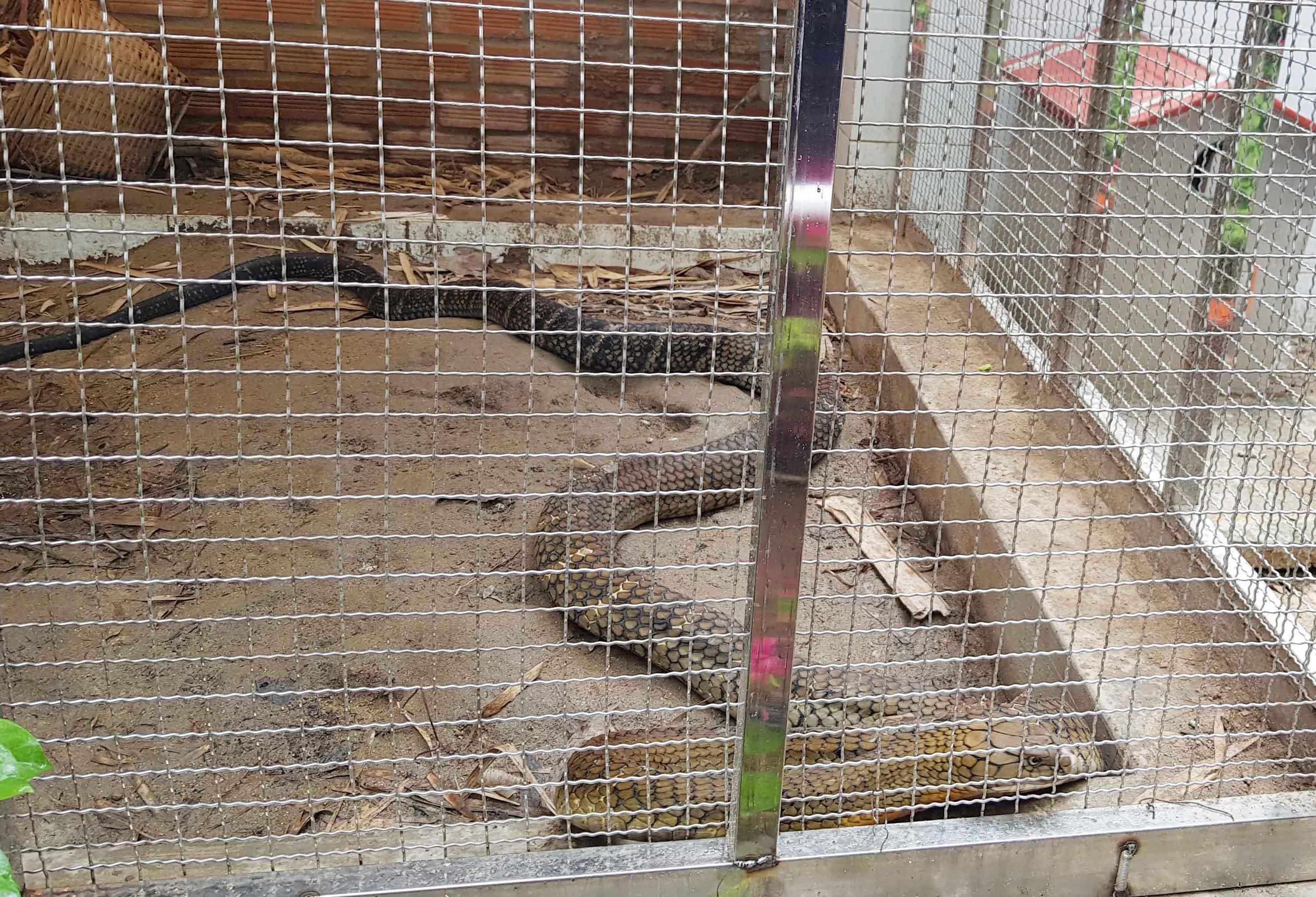 Cap ran ho mang chua anh 1