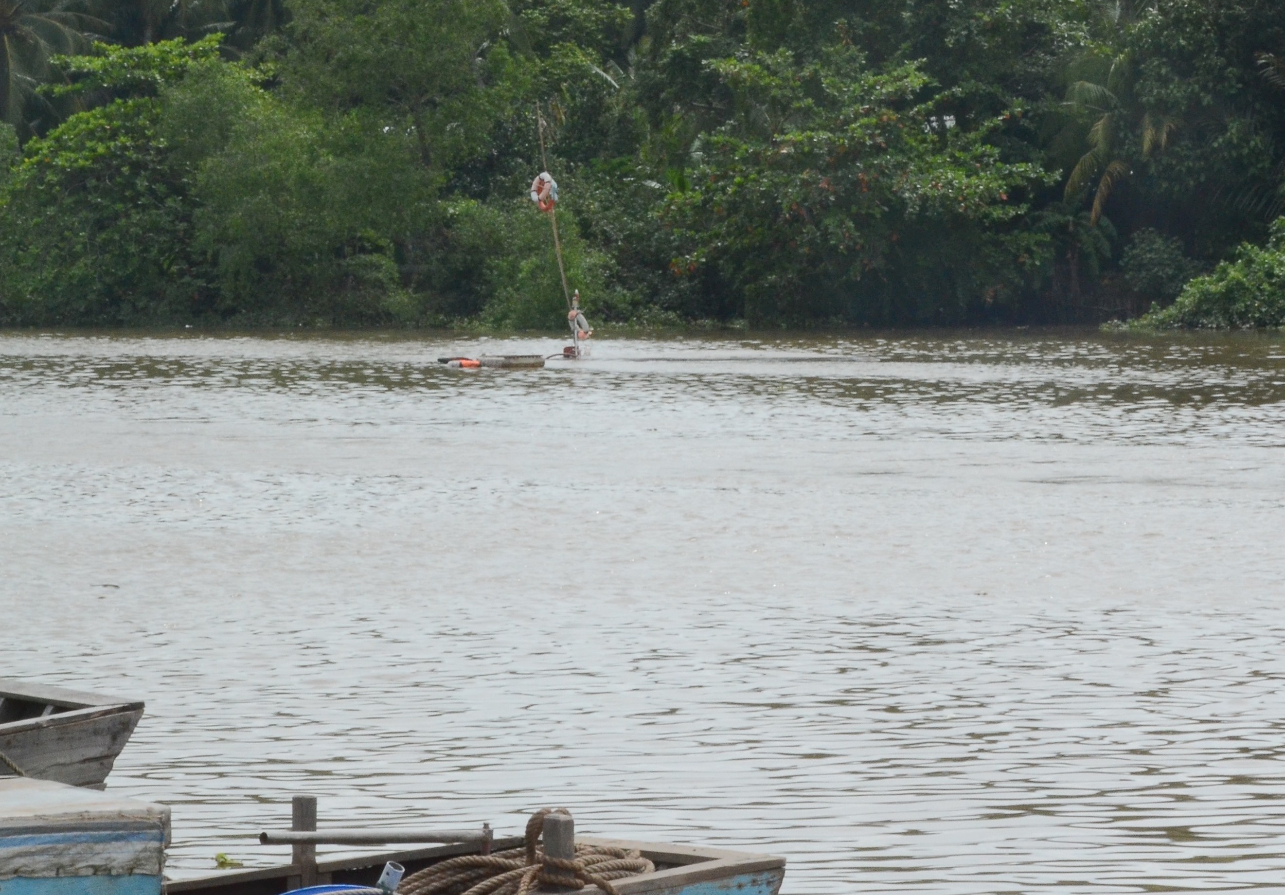 chim sa lan 1.300 tan anh 1