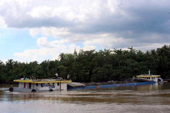 Sa lan cho 1.300 tan than da chim tren kenh Cho Gao hinh anh