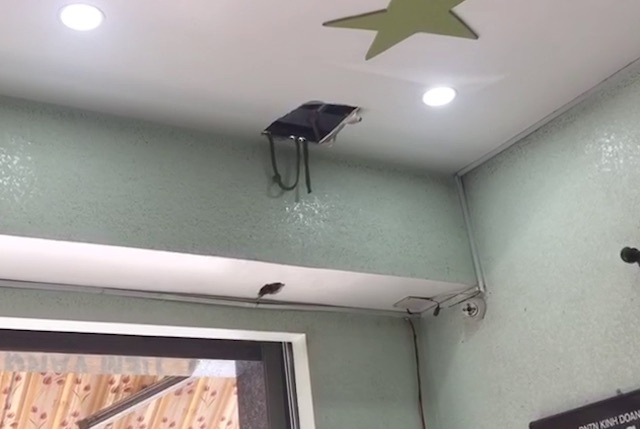 trộm đột nhập tiệm vàng ảnh 1 trom dot nhap tiem vang anh 1