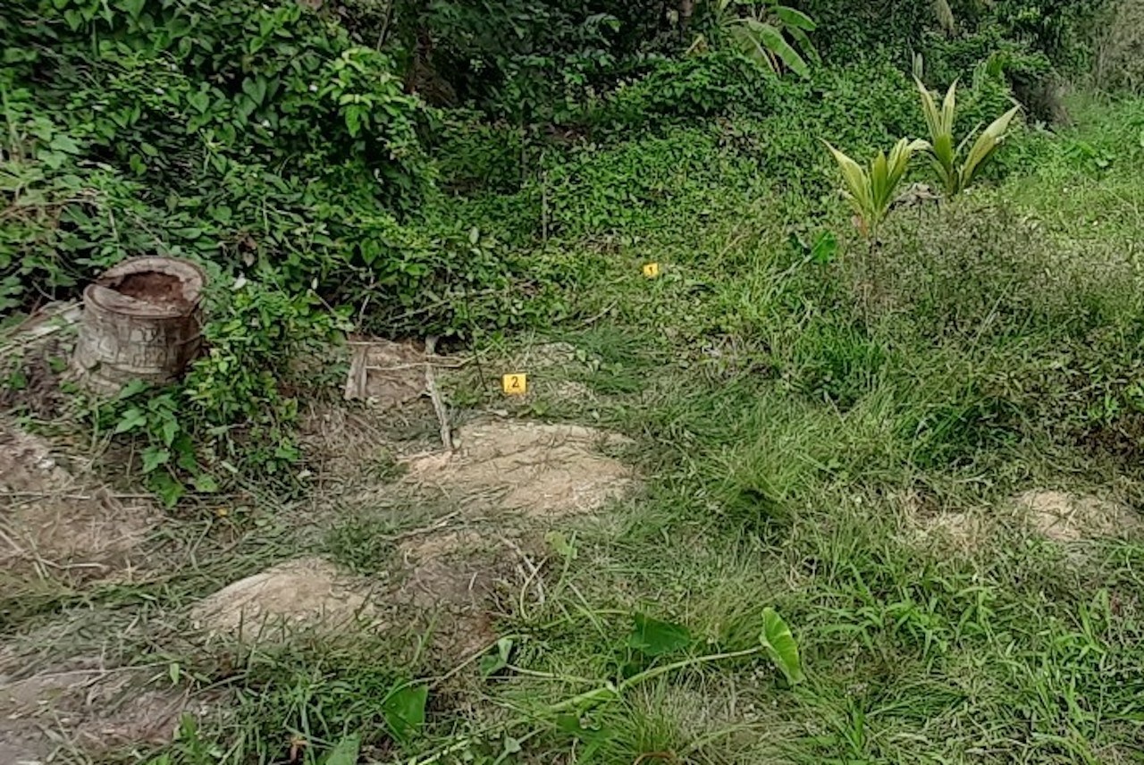 Nhap dien vi vuong bay dien cua hang xom anh 1