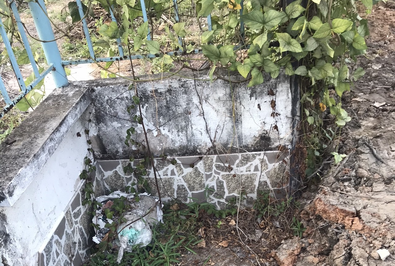 Đâm chết người vì bị mất trộm mèo ảnh 1 Dam chet nguoi vi bi mat trom meo anh 1