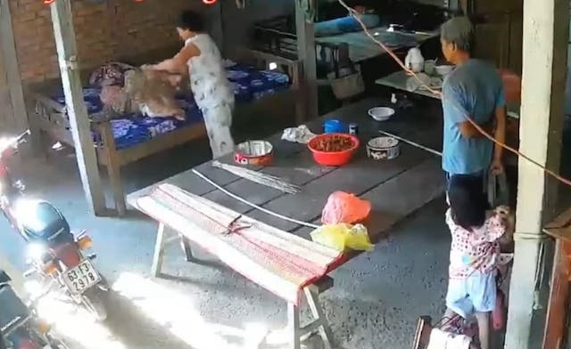 Dieu tra vu con dau bao hanh me 88 tuoi hinh anh