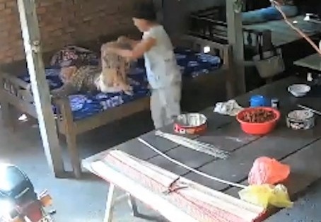 Tam giam vo chong bao hanh me gia 88 tuoi hinh anh