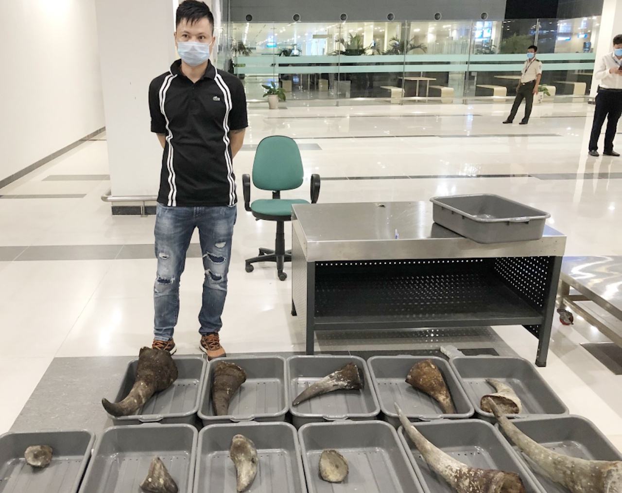 Vận chuyển 29 kg dừng tê giác ảnh 1 Van chuyen 29 kg dung te giac anh 1