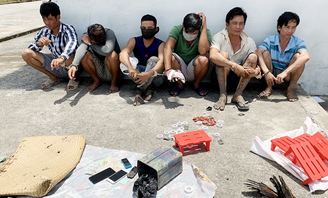 Pha lien tiep 2 soi bac tra hinh trong mua dich Covid-19 hinh anh