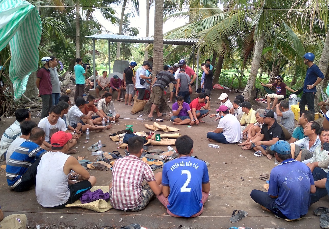 Pha soi ga co nhieu con bac chuyen nghiep hinh anh