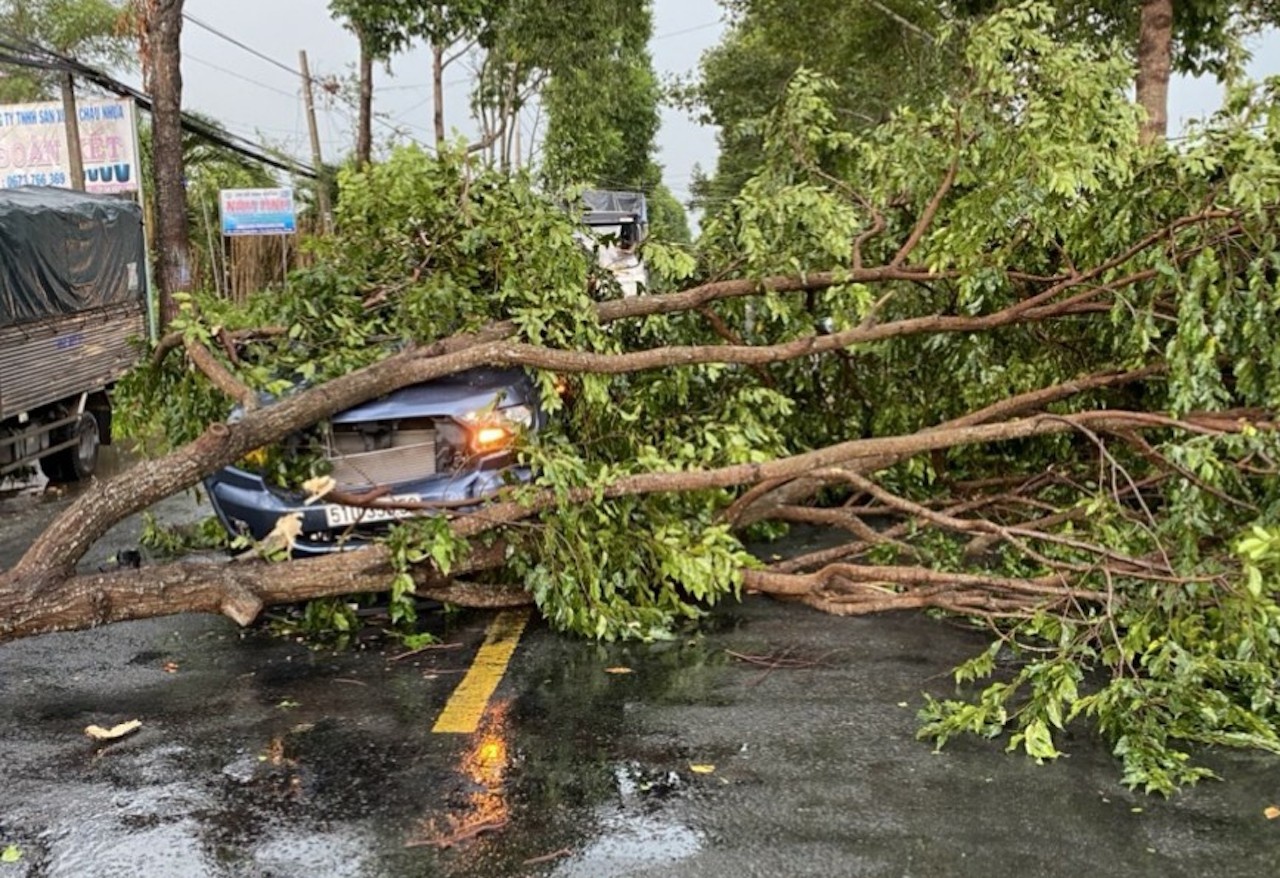 Oto ban tai bi nhanh cay roi trung luc troi dang mua anh 1