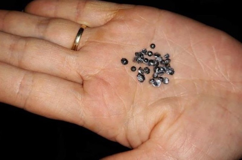 Ru dong bon di gay an vi ghen tuong hinh anh