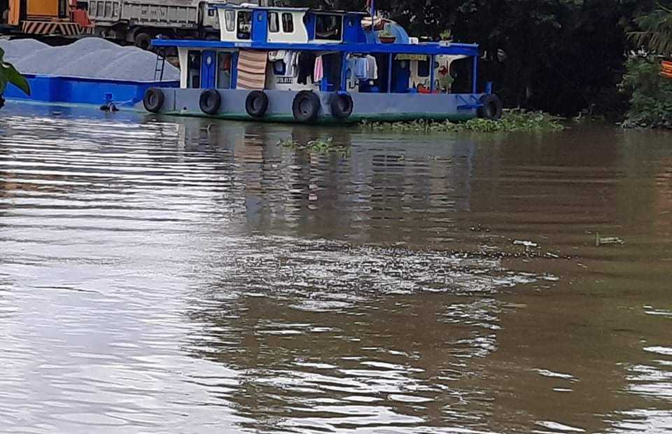 Tau cho 45 tan gao chim xuong song hinh anh