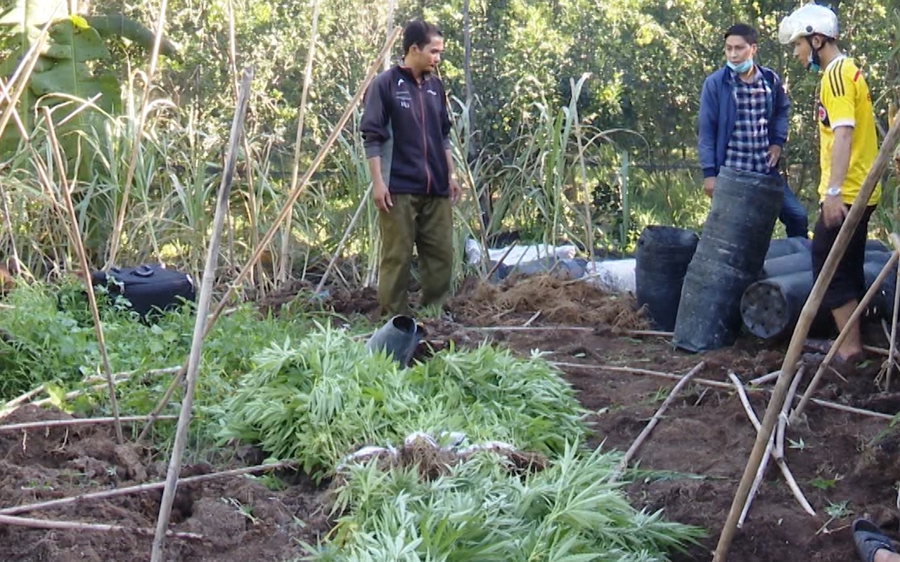 Canh sat nho 304 cay can sa anh 1