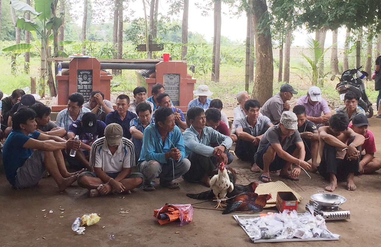 Bat qua tang 37 nguoi ca do da ga hinh anh