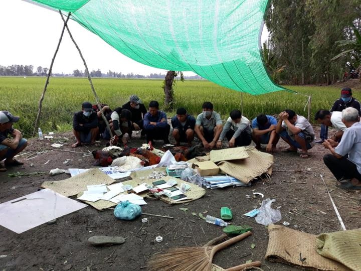 Canh sat pha soi bac o canh dong lua anh 1