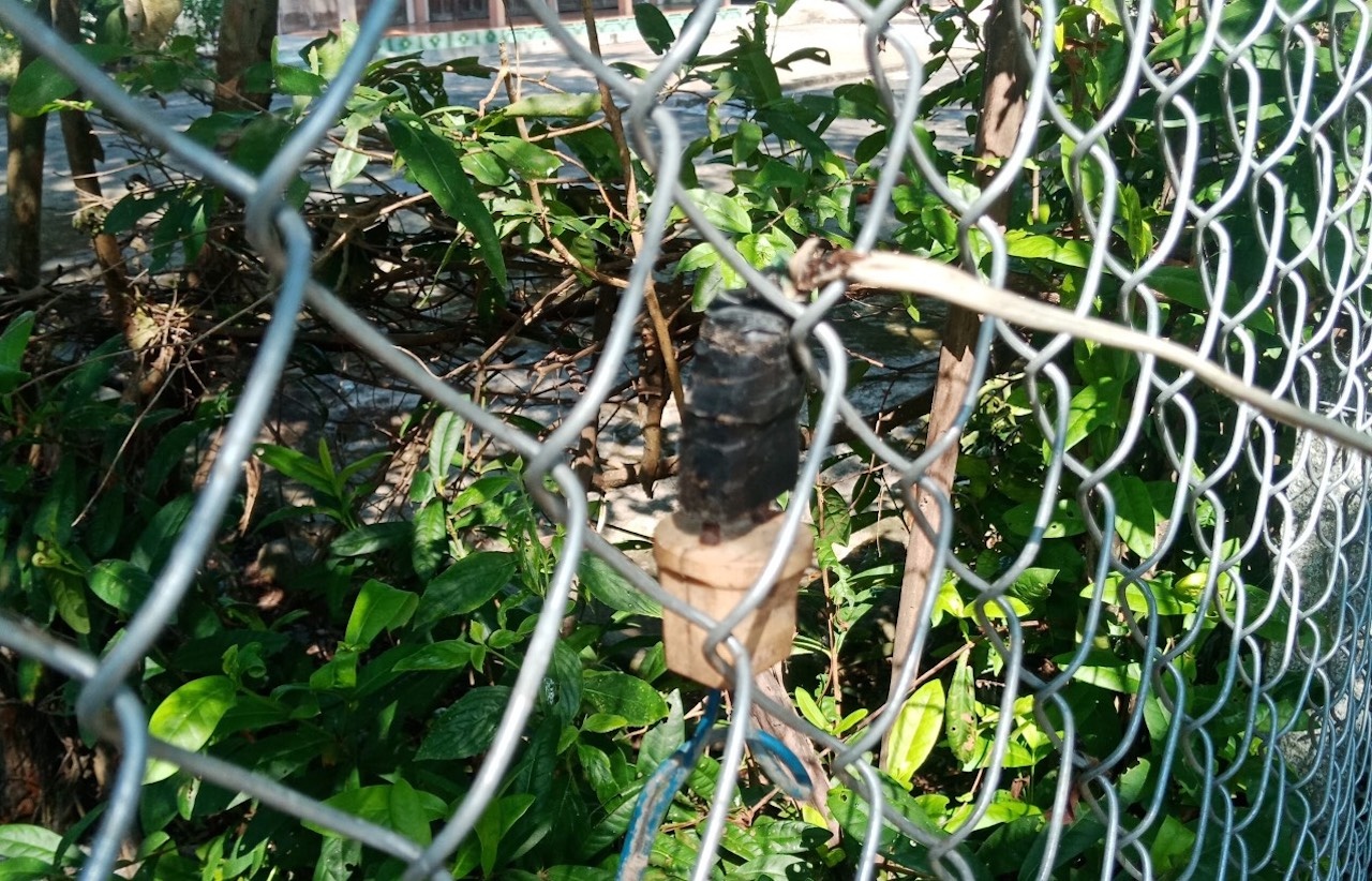 Nguoi dan ong tu vong khi keo day dien ra vuon hinh anh