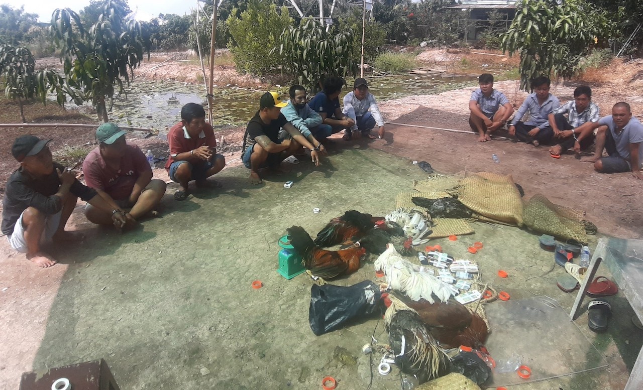 Cảnh sát bắt 29 người tham gia đá gà ăn tiền ảnh 1 Canh sat bat 29 nguoi tham gia da ga an tien anh 1