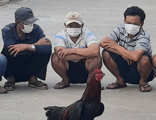 Cong an triet pha 2 soi bac o mien Tay hinh anh