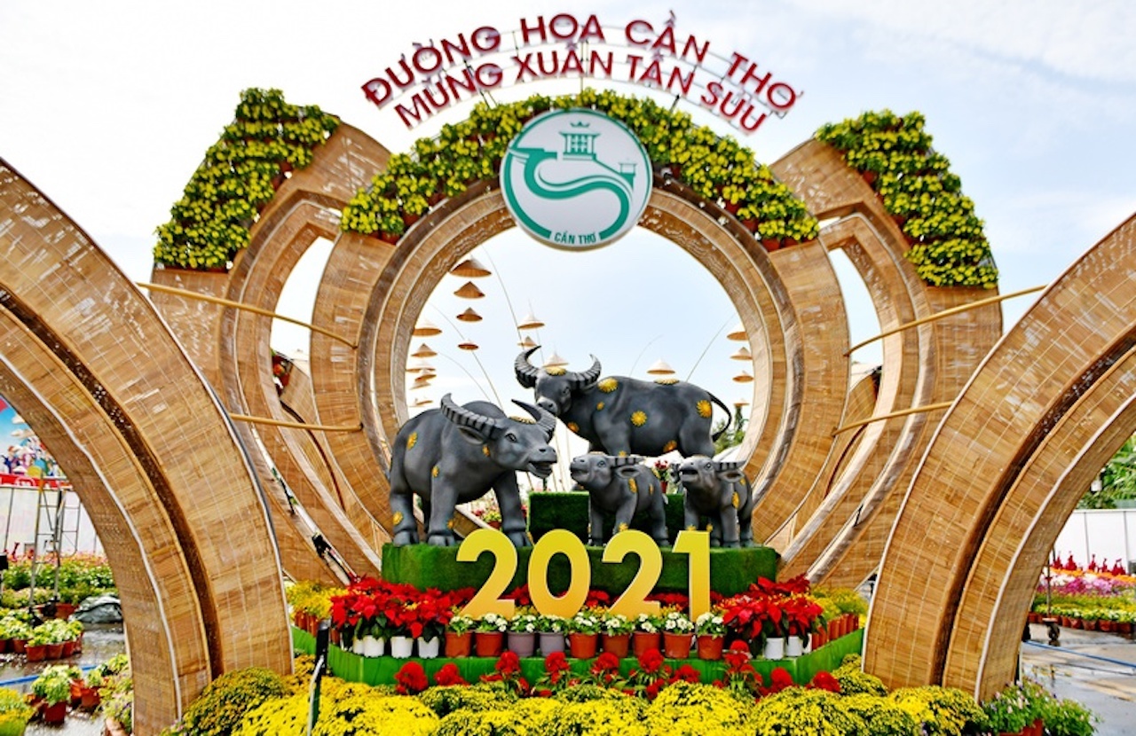 Duong hoa lon nhat mien Tay be mac vao toi 30 Tet hinh anh