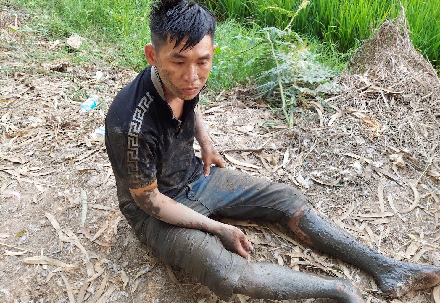 Cha to chuc soi bac, con ngoi canh canh sat hinh anh