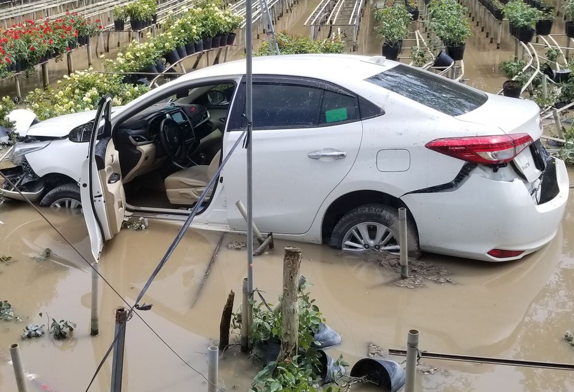 Xe hop lao xuong ruong hoa hinh anh