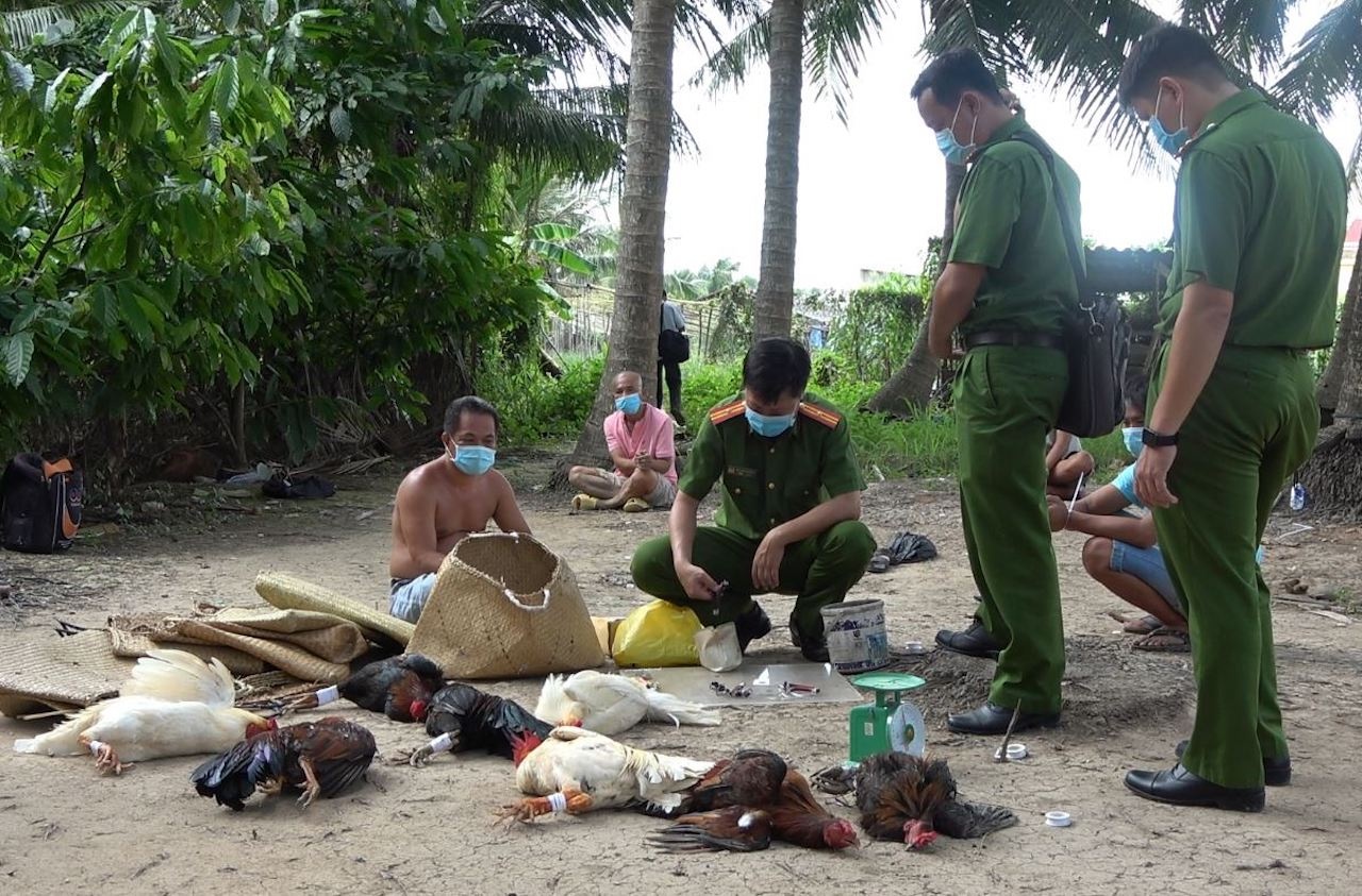 Bat giam 3 nguoi to chuc va danh bac trong mua dich hinh anh