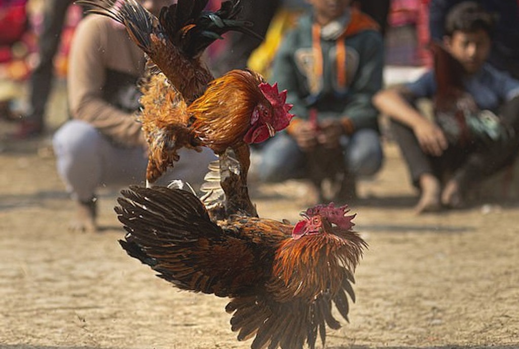 Canh sat dot kich 2 soi bac trong ngay dau thuc hien Chi thi 16 hinh anh