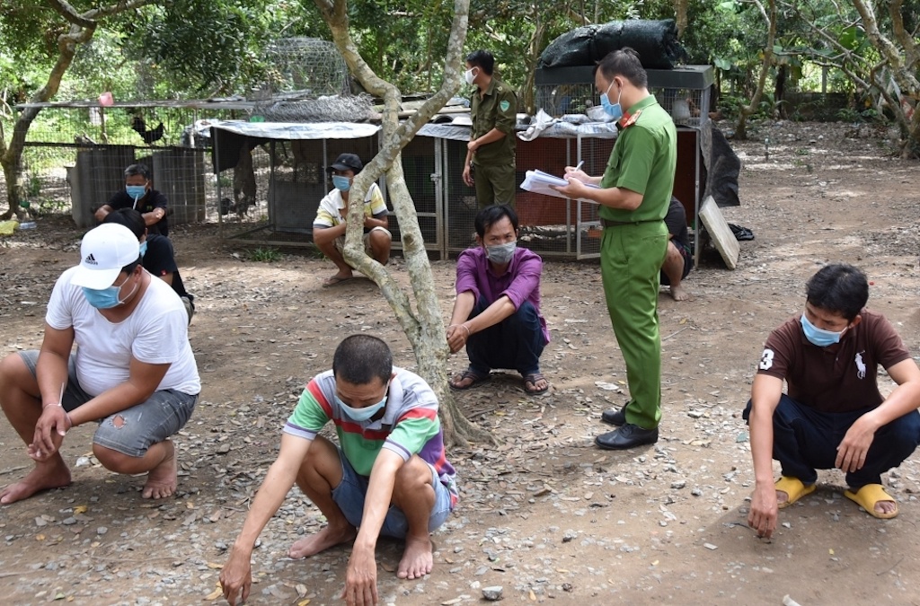 Lay co di lam ruong roi to chuc da ga an tien hinh anh