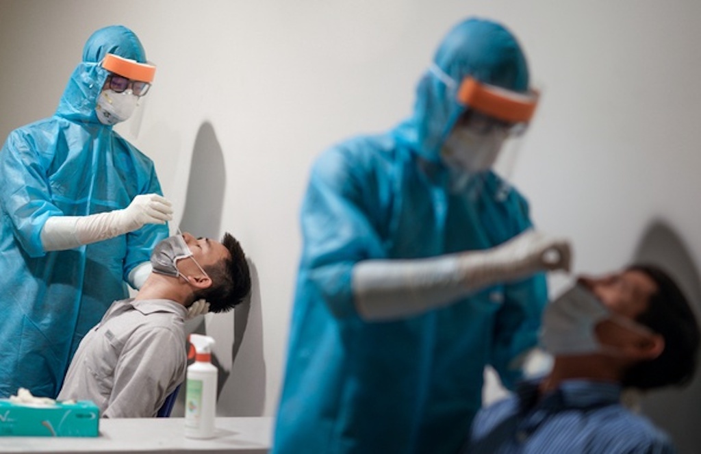 Vinh Long phat hien chum 7 ca benh tren ghe cho phan bon hinh anh