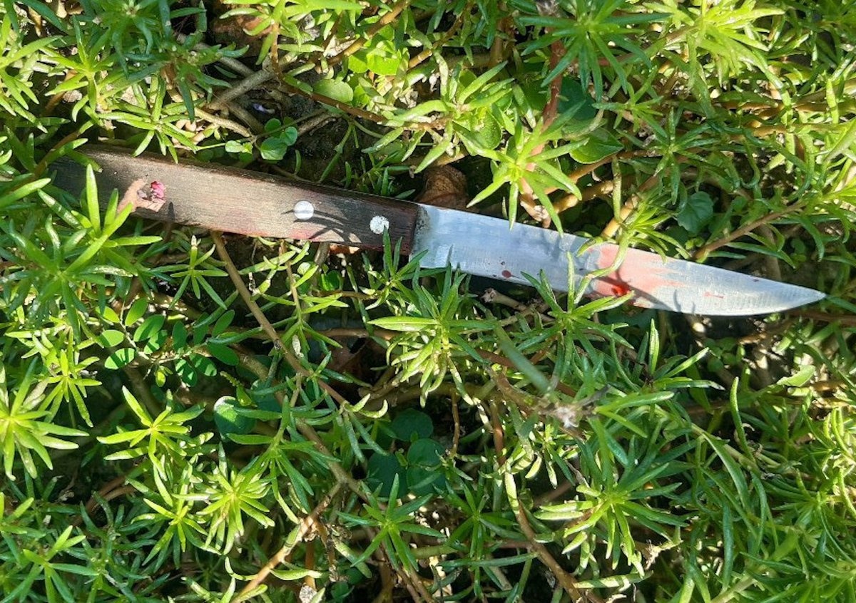 Em trai dam chet anh o khu nha tro hinh anh