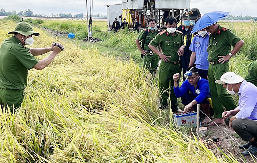 Dung bay dien diet chuot gay chet nguoi hinh anh