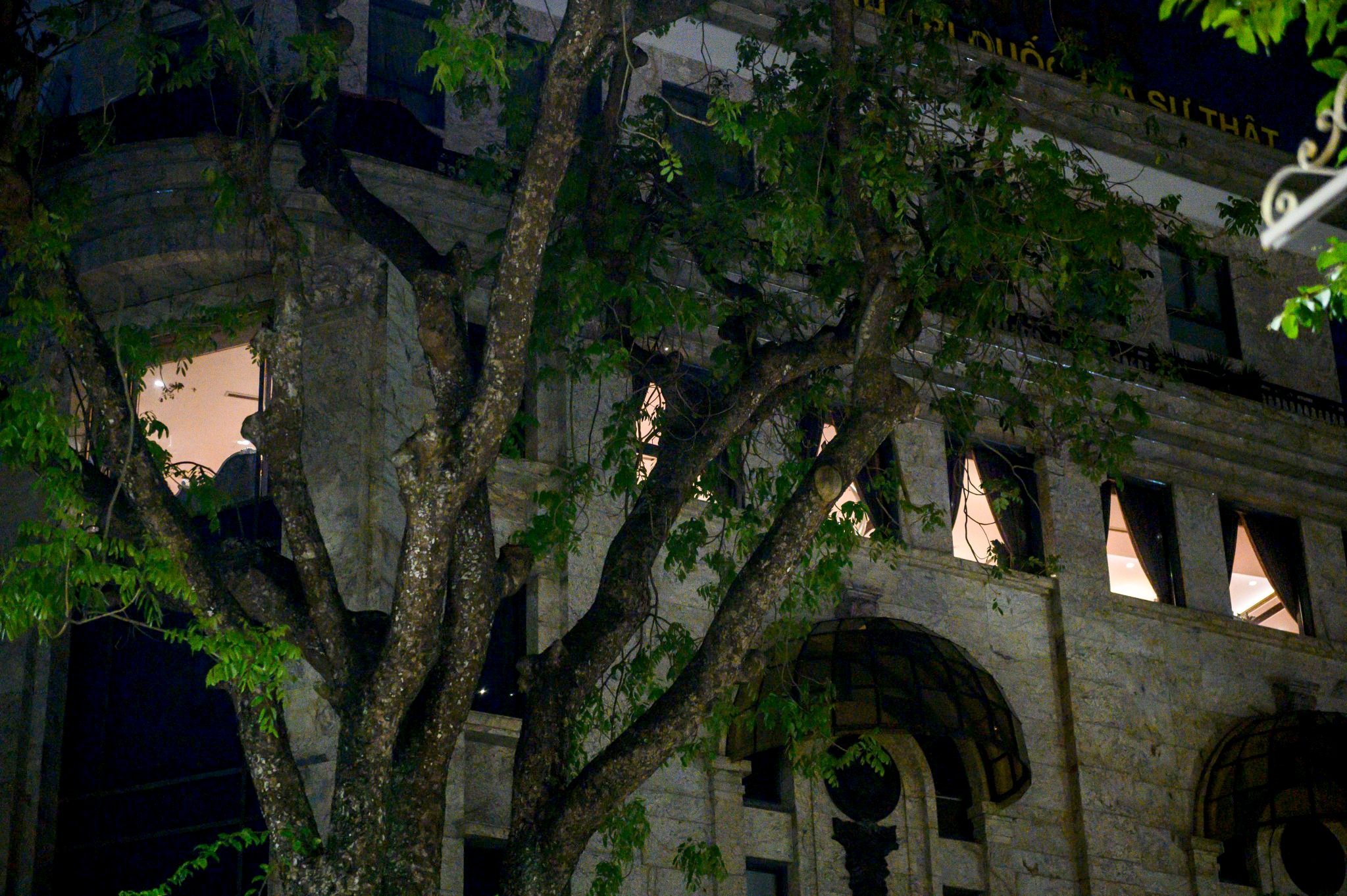 Do Anh Dung bi bat anh 11