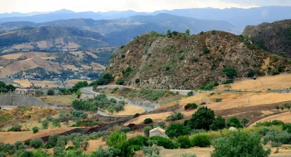 Chu quan ca phe hai lan bi bat vi ban so de anh 3