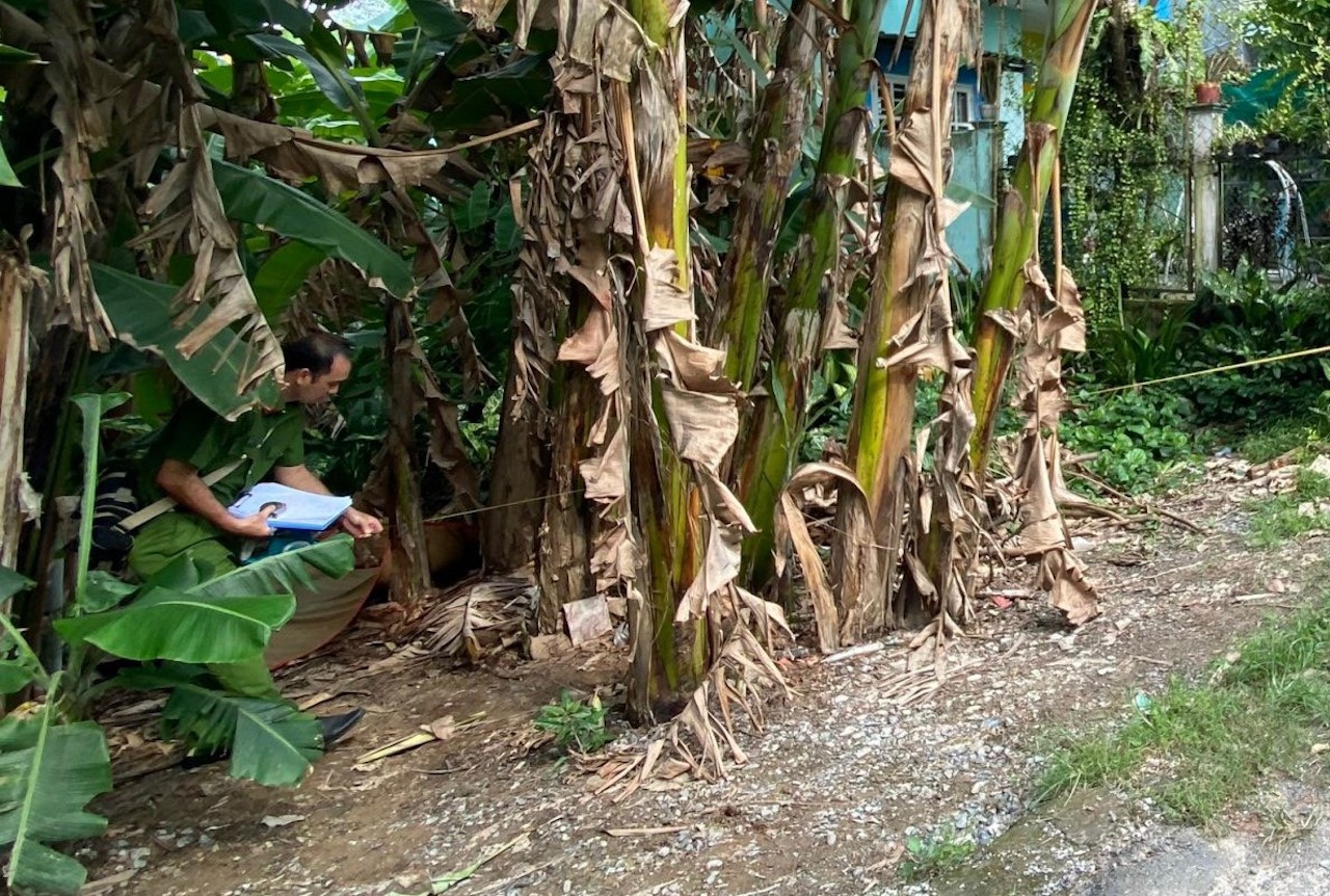 Dam cha duong tu vong anh 2