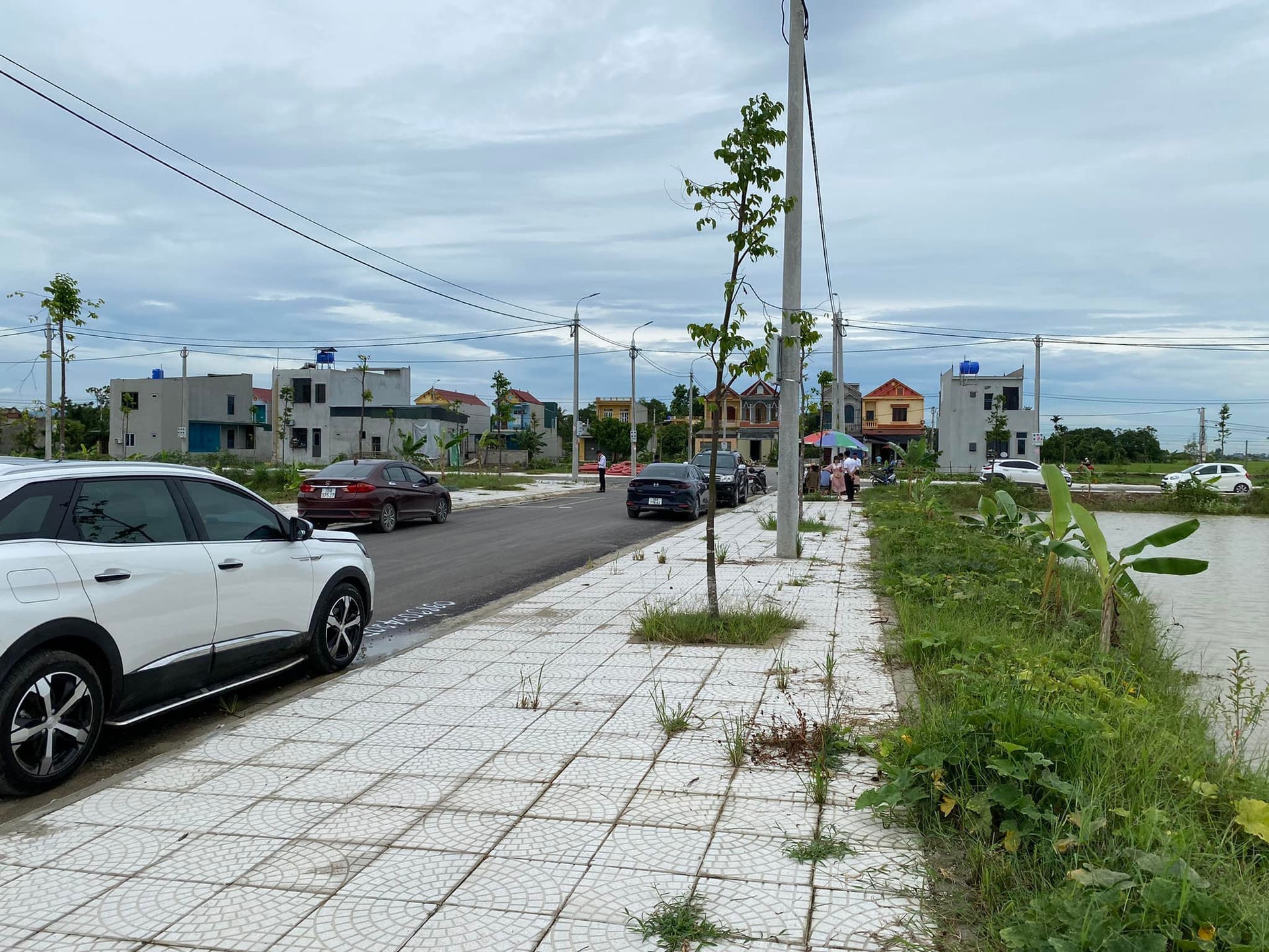 Co gai nhan coc mua dat hang ty dong roi bo tron hinh anh