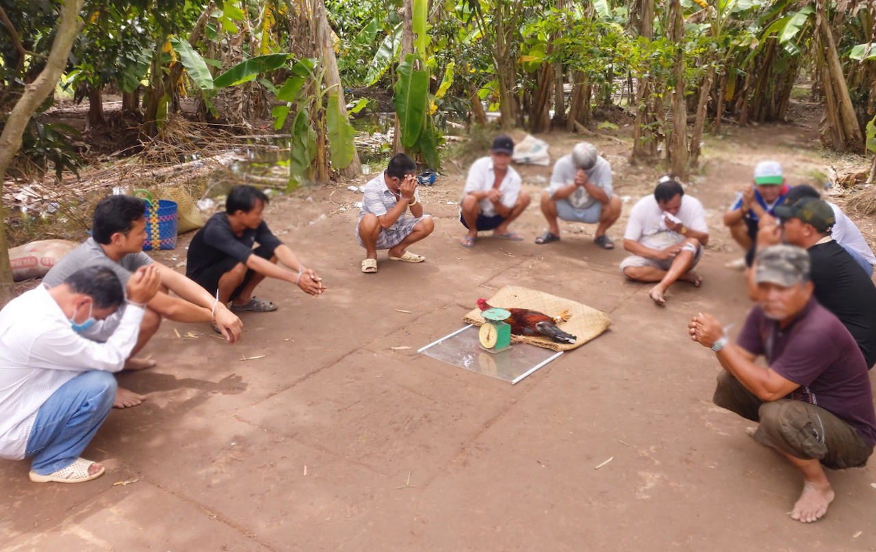 Soi bac o cu lao anh 1