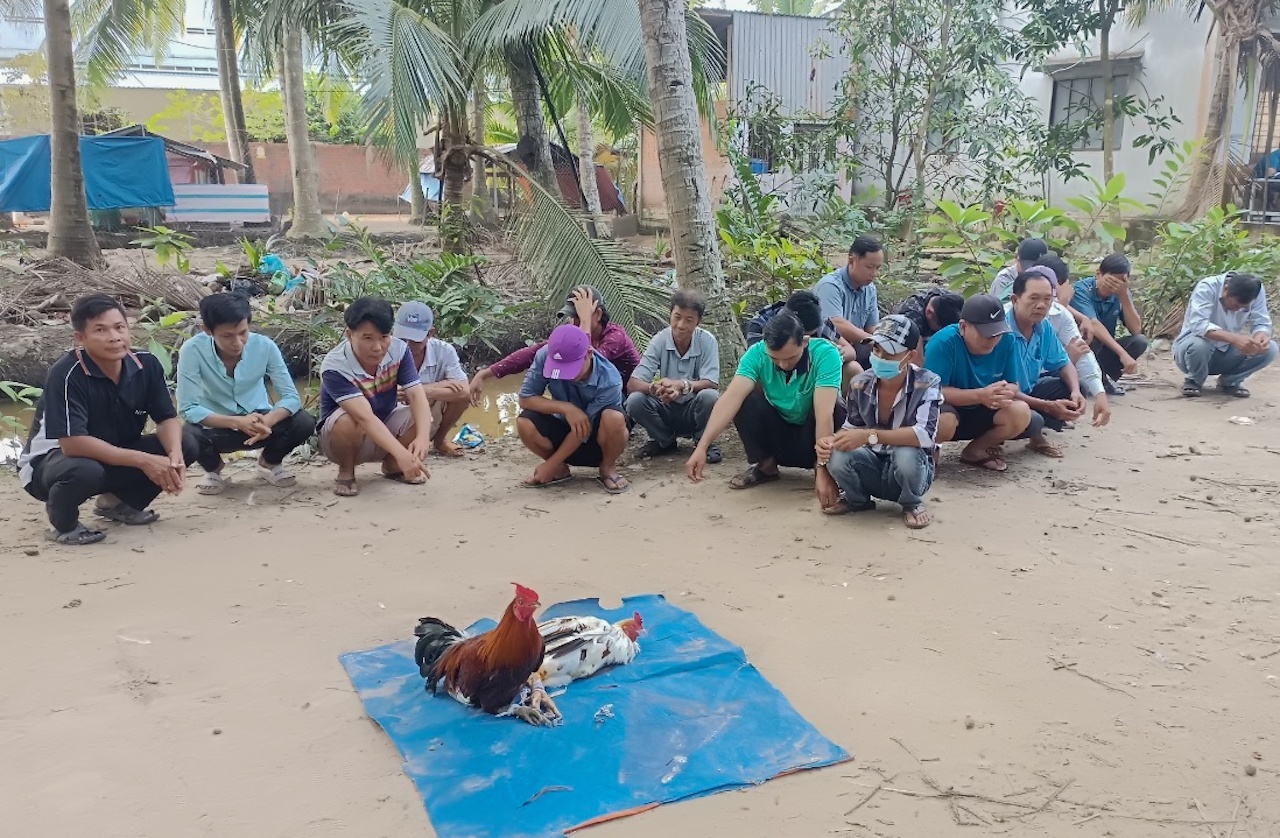 Soi bac trong vuon dua anh 1