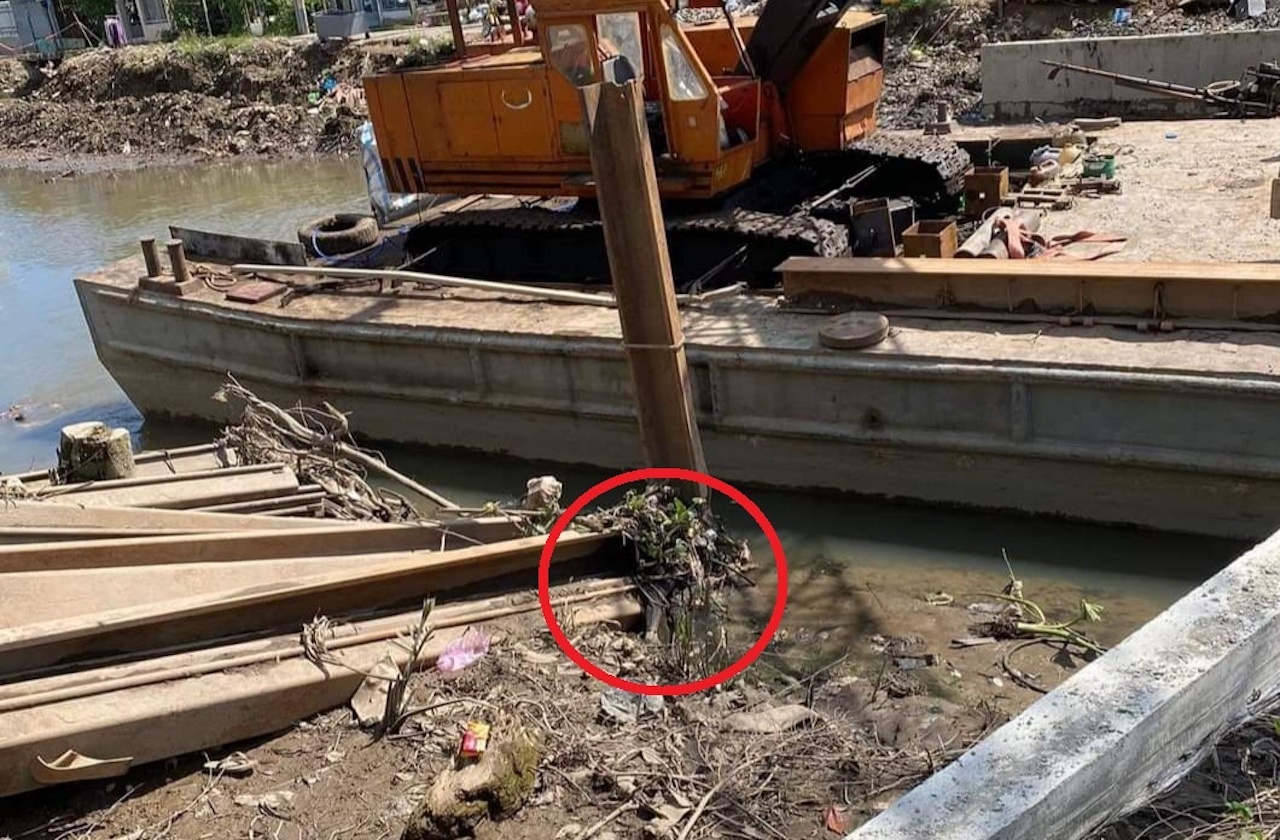 Tai xe lai can cau phat hien thi the o bo song hinh anh