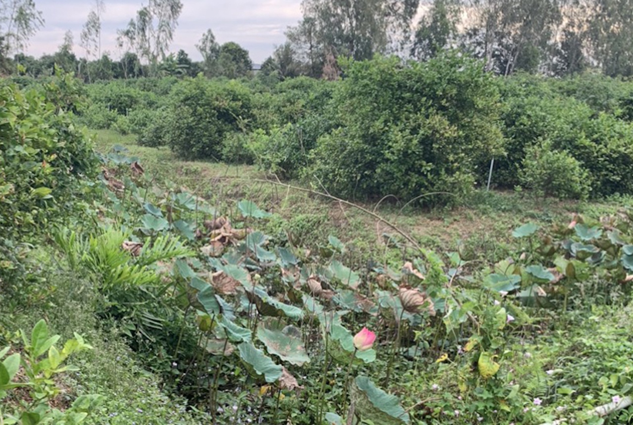 Thu pham giet xe om anh 2