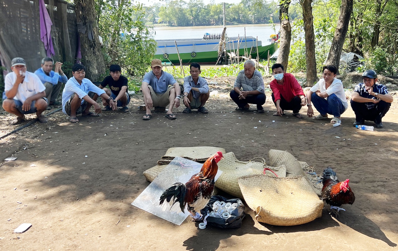 Sới bạc vùng quê ảnh 1 Soi bac vung que anh 1