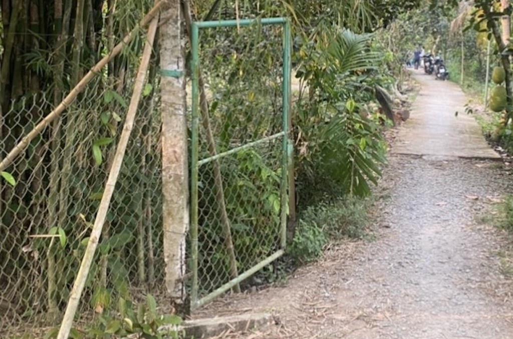 No sung gay chet nguoi anh 1