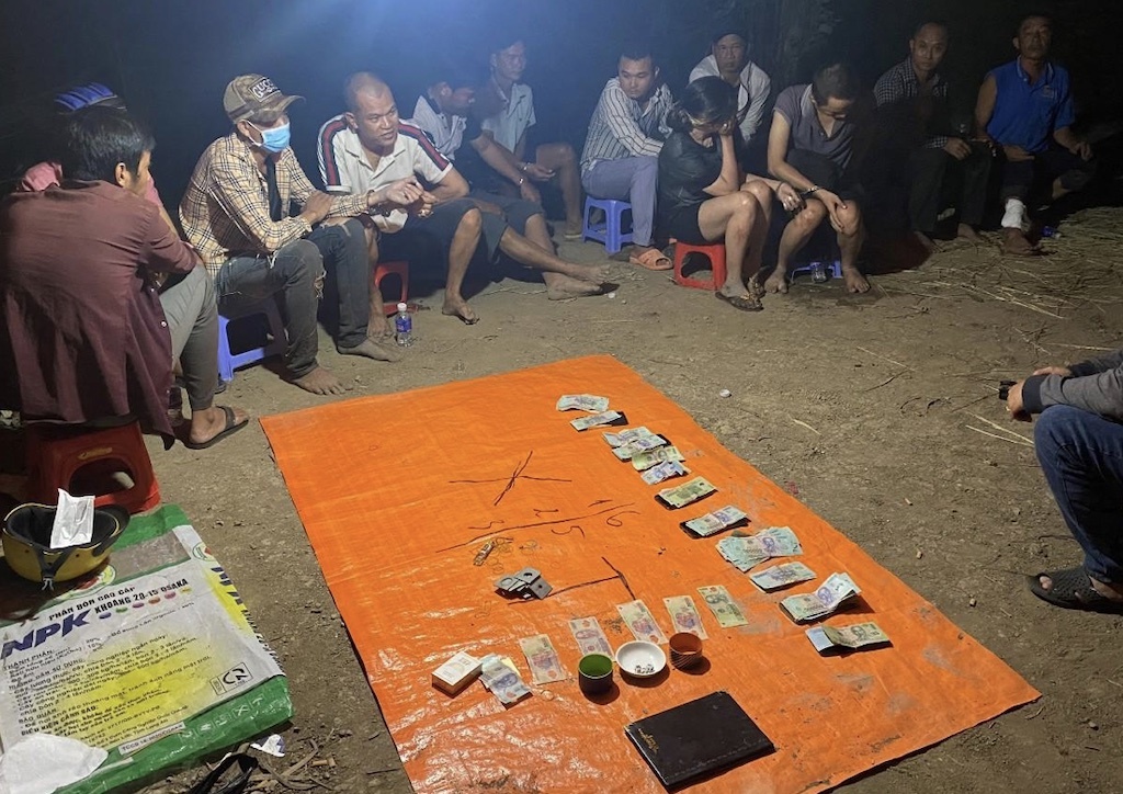 Pha soi bac o vung que Dong Thap hinh anh