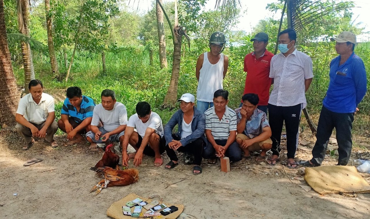 Soi bac trong vuon dua anh 1