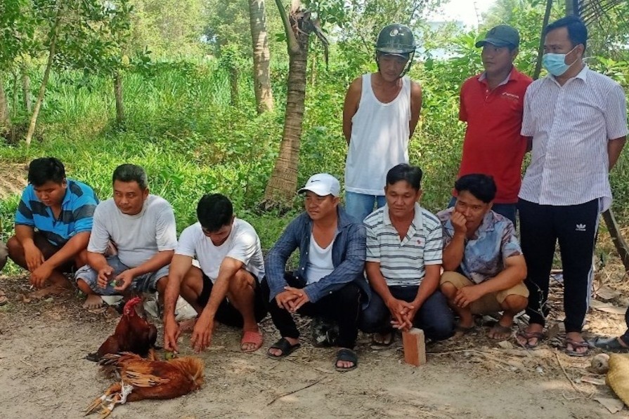 Canh sat dot kich soi bac trong vuon dua hinh anh