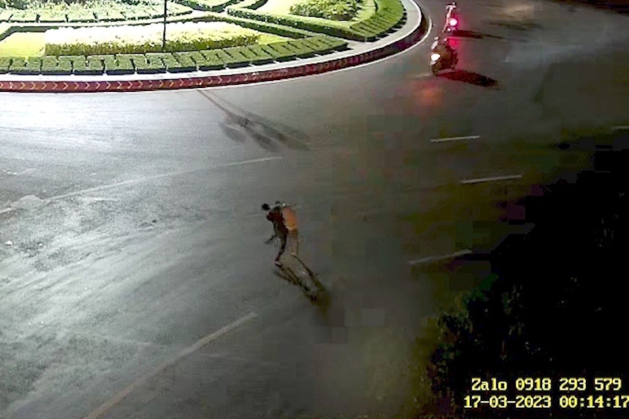 Thiet mang vi con do anh 1