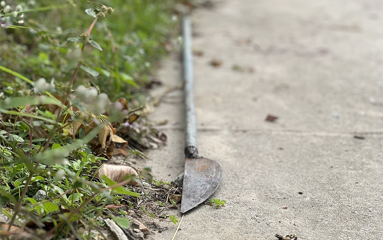 Dam chet cha va chu anh 2