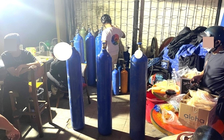 New Golden Pine anh 1