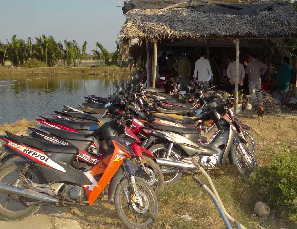 Cong an mai phuc o bo song bat xoi ga an thua hang chuc trieu dong hinh anh