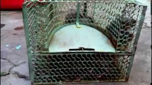 Dam thung bung nguoi dan ong chi vi cho ngoi ban chuot dong hinh anh