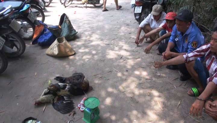 Truong ga 100 con bac trong rung tram bi bat tron hinh anh