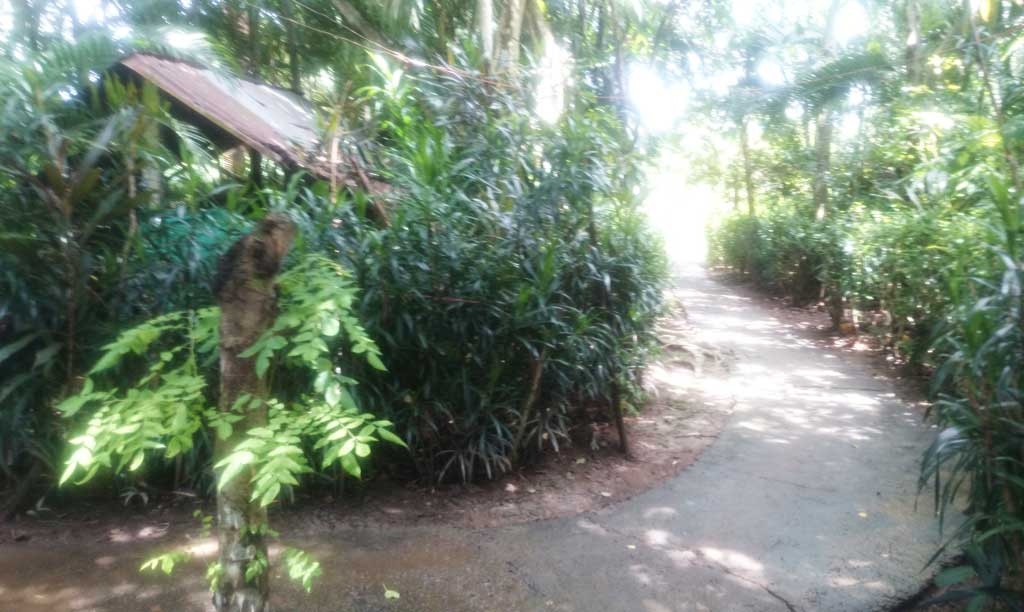 Chủ mưu cướp tài sản quán cà phê,  chính là người yêu của chủ quán ảnh 1 Chu muu cuop tai san quan ca phe,  chinh la nguoi yeu cua chu quan anh 1